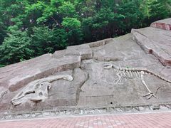 -哈尔滨北方森林动物园