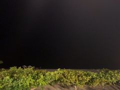 -渔家火锅·海鲜自助餐·演艺(亚龙湾天域酒店)