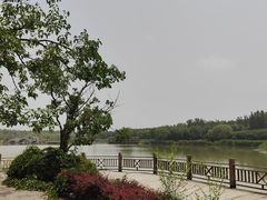-塘沽森林公园