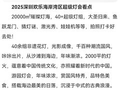 -欢乐海岸椰林沙滩-2025湾区超级灯会