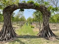 -上海海湾国家森林公园