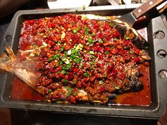 -江边城外烤全鱼(方庄时代购物中心店)