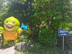 -广东惠东海龟国家级自然保护区