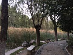 -西安市长乐公园