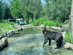 -北京野生动物园