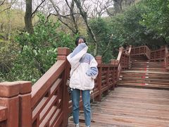 -紫金山山顶公园
