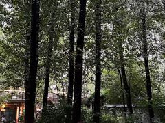 -林间山庄