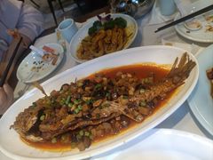 -新侨小馆(东直门北小街店)