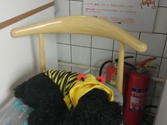 -蜜蜂小象·榴莲千层蛋糕(时代汇11栋店)