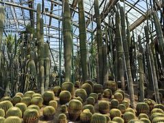 -南山植物园