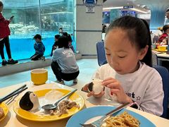 -帝企鹅自助餐厅•儿童岛•真企鹅(长隆企鹅酒店)