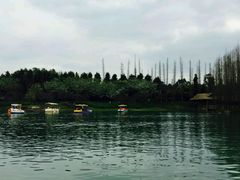 -秀丽东方