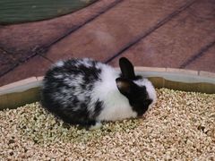 -正佳雨林生态植物园