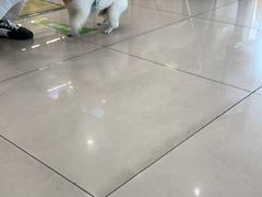 -艾贝尔宠物医院 ·中兽医·宠保定点(北门桥店)