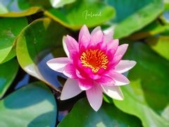 -陕西省西安植物园