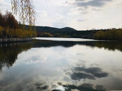 -樱花山风景区