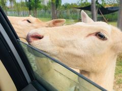 -南京金牛湖风景区
