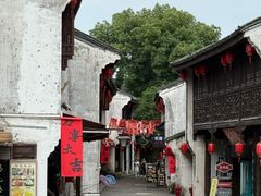 -鲁镇