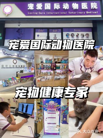 宠爱国际动物医院——宠物健康专家、毛孩子的福音