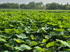 -云龙湖旅游景区