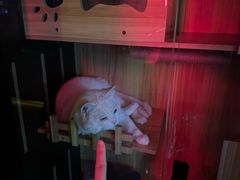 -HIB HUB公社(解放西路店)