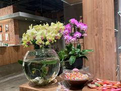 -园里火锅(仁和新城店)