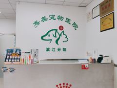 -美美宠物诊疗中心·异宠·骨科(滨江东信分院)