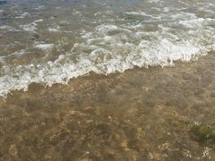 -燕塞湖鸟语林景区