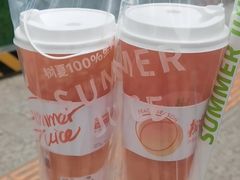 树夏水蜜桃-树夏(鹭洲里店)