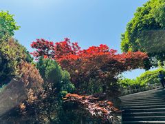 -长屿硐天八仙岩景区
