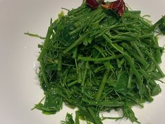 -沪碟·精菜坊(闵行店)