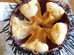 -红叶日料·放题·海胆·定食(星海店)