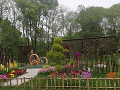 -上海共青森林公园