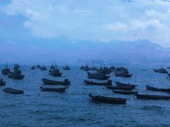 -海源公园