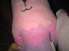 -PAWTOY爪e玩偶店(天兴罗斯福店)