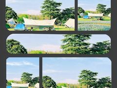 -上海滨江森林公园