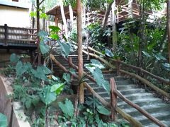 -海南槟榔谷黎苗文化旅游区