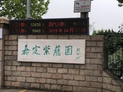 -嘉定紫藤园
