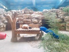 -石家庄市动物园