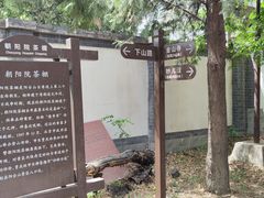 -阳台山自然风景区