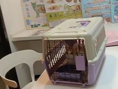 -御宝贝·A梦猫科宠物医院(国际猫友好医院)