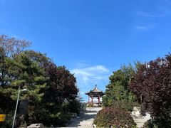 -大兴滨河森林公园