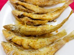 -蛇口康乐快餐鱼仔档(翠苑小区店)