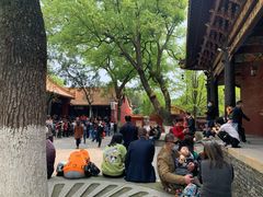 -南岳衡山风景名胜区-南岳大庙