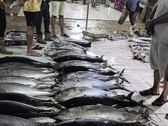 -尼甘布海鲜市场