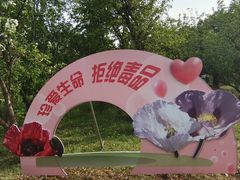 -国家植物园南园