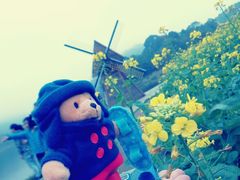 android_upload_pic-广州市石门国家森林公园