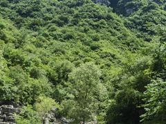 -孤山寨风景区