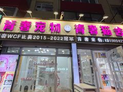 -青奢宠物·青奢猫舍