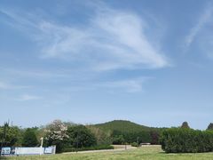 -秦始皇帝陵博物院-丽山园